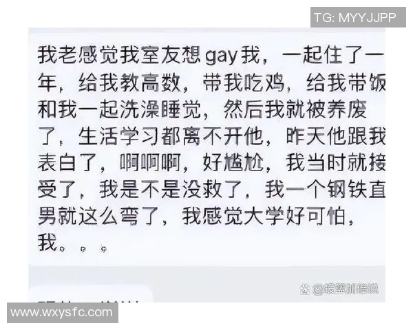 周芳专访回顾DOTA2发展历程与个人成长的精彩故事 周芳专访回顾DOTA2发展历程与个人成长的精彩故事