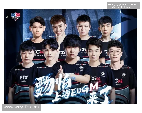 深入分析EDG战队的节奏打法与战术布局解析实时数据 深入分析EDG战队的节奏打法与战术布局解析实时数据